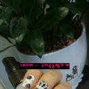 세신인창종합상가 이미지