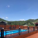 해뜨는 숲속 이미지