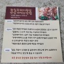UR(목포시)-[양을로]-상-12 | 목포족발 황칠흑돼지족발 내돈내산 후기 / 목포맛집 목포보쌈 족발보쌈세트