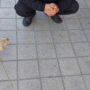 투사랑 이미지