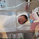 조리원과 순천 더마더힐 산후조리원 일주일 이용 후기(총 10키로는 빠진 마사지와 식단,시설,신생아실...
