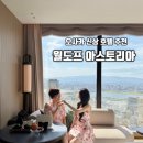 부킹라이브 | 오사카 우메다 호텔 추천 | 월도프 아스토리아 오사카 솔직 후기 (조식·수영장·사우나)
