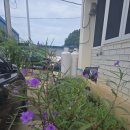 공주네백반 이미지