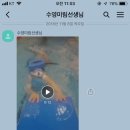 스위밍차일드(나주혁신점) 이미지