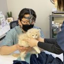 수동물병원 이미지