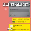 소미실비