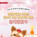 아리스타동물의료센터 이미지