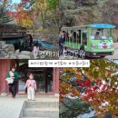 문경새재 도립공원 경북 가볼만한 곳 아이와함께 가을나들이 단풍명소 전동차