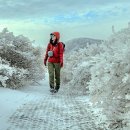 합천군청 이미지