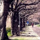 눈편안세상 이미지