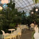 장아산로 | 인천 식물원 카페 빌리 주차 편한 대형 베이커리 카페 내돈내산 후기 반려견 동반 가능 BILY