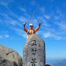 회기2 이미지