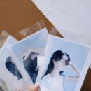 연꽃사진관 이미지