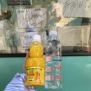 루디아의 작은집 | 제주 여행일기 에어비앤비 추천 맛집 추천