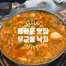 청진빌딩앞 | [광화문맛집]30년 전통 낙지전문점 &#34;무교동낙지&#34; 매콤한 낙지요리. (낙지볶음, 낙지비빔밥, 낙지전골...