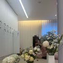 발레슈학원 이미지