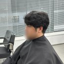 돼지꼬리미용실 이미지
