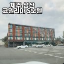 코델리아호텔 | [제주-성산]코델리아 S호텔 숙박 후기 가격 위치 시설 총정리