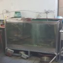 장수송어회식당 이미지