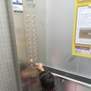 소미몬트 이미지