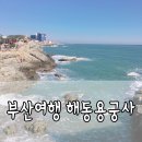 해동세차장 네이버블로그