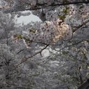 송추요양병원 이미지