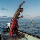 JOE'S PC ZONE 이미지