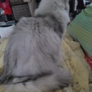 드림안마시술소 이미지