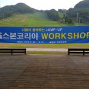 올스본코리아 이미지