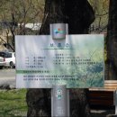 아주동1713 ~ 아주동1710일원 | [대구] 대구 옻골마을 (경주최씨 종가)