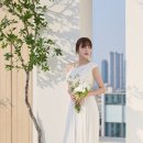 더 해밀 이미지