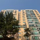 압구정-122 이미지