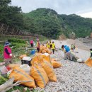 연평바다살리기영어조합법인 이미지