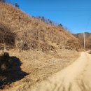 건인농장 이미지