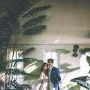 인디무드 이미지