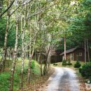 영양초교 이미지