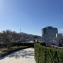 남산테라스