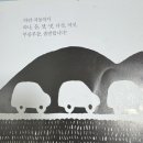 하양까망