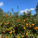 승민농장 이미지