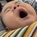 애개애개 | 애개와 함께하는 제주도 3박4일 여행기록🌴