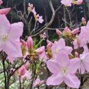 행주농장 이미지