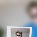 그라치아 카카오 검색결과