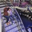 제주 | 벨리시마크루즈(부산-상해제주) 후기 및 옷차림, 준비물 추천