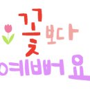 방울방울다육세상