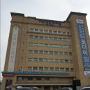 [후기]인테리어 조화꽃 사러 고속터미널 도매 꽃시장 다녀왔어요(무료주차혜택,가게추천)