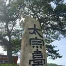 팅가팅가 이미지