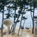 카페1-21