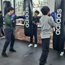 BMG 복싱 이미지