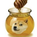 디저트39 당산역점 | [서울/강남/신논현] 강남 바다 빔프로젝터 사진 겅지기 좋은 이색 카페! 퍼스트랩 커피