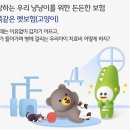 금쪽금쪽금쪽반려동물병원 | 우리 고양이, 아프지 마세요! KB 금쪽같은 펫보험으로 안심 케어